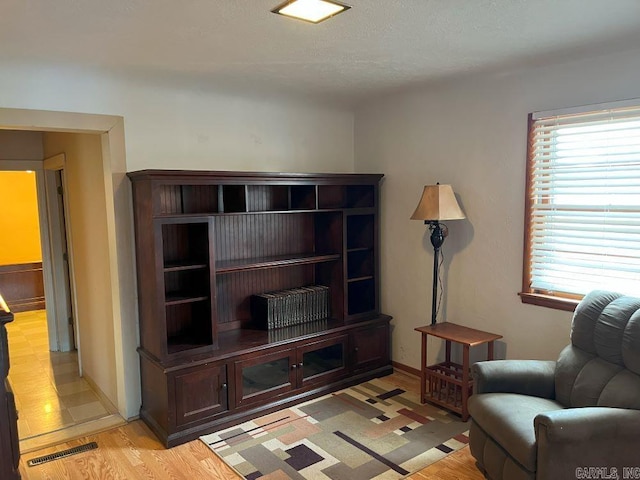 living room with light hardwood / wood-style floors