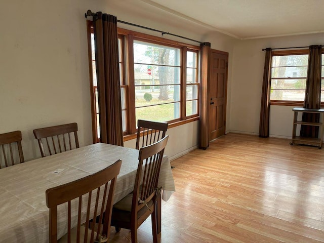 dining area with light hardwood / wood-style flooring