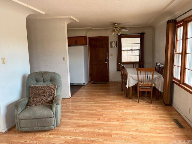 interior space featuring ceiling fan, a wealth of natural light, and light hardwood / wood-style flooring