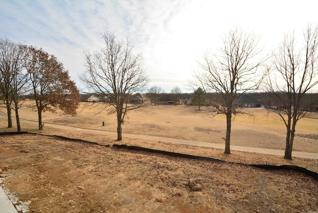 view of yard with a rural view