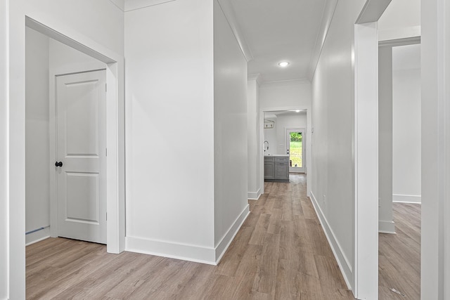 hall featuring light hardwood / wood-style floors, sink, and crown molding