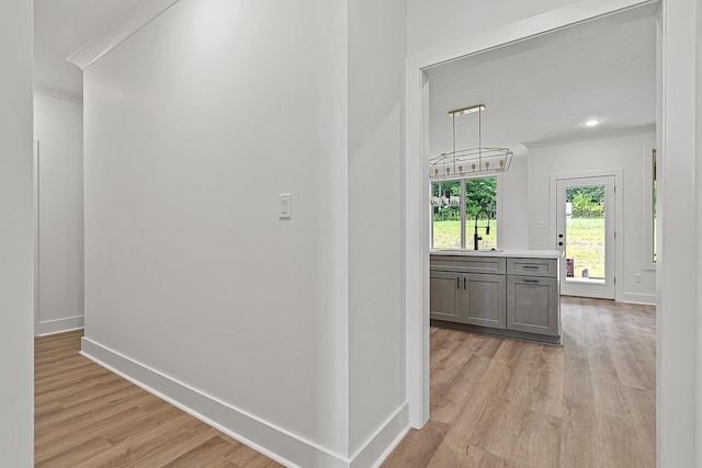 corridor featuring light wood-type flooring, sink, and crown molding