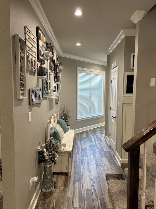 hall featuring dark hardwood / wood-style flooring and ornamental molding