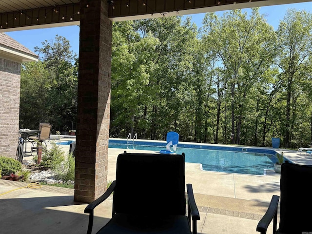 view of swimming pool with a patio area