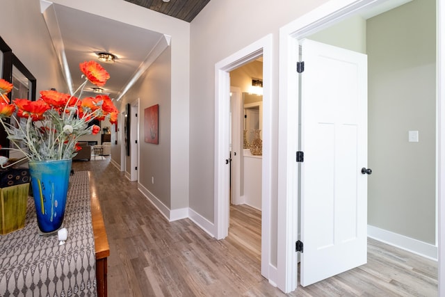 hall featuring hardwood / wood-style flooring and crown molding