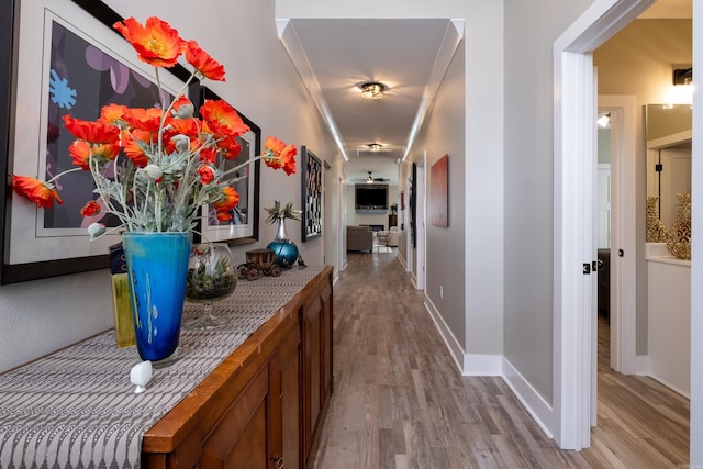 hall with crown molding and light hardwood / wood-style floors