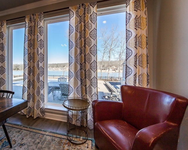 sitting room with a water view and hardwood / wood-style floors