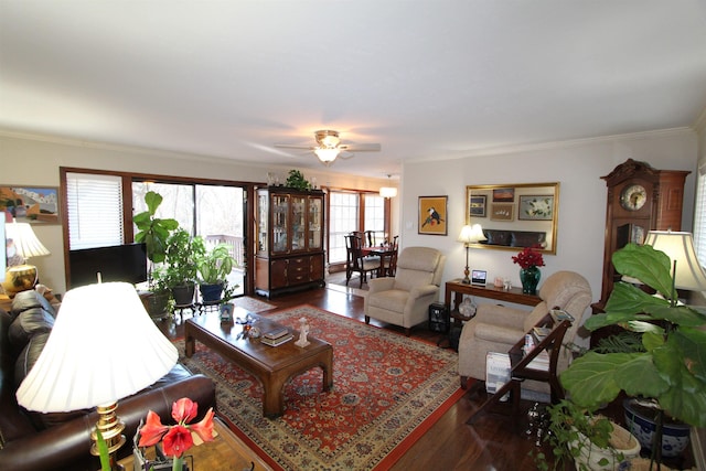 living room featuring ceiling fan, dark hardwood / wood-style floors, and ornamental molding