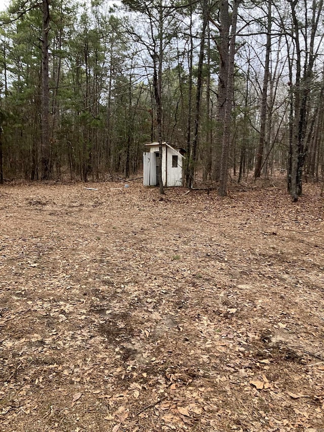 view of yard featuring a storage shed