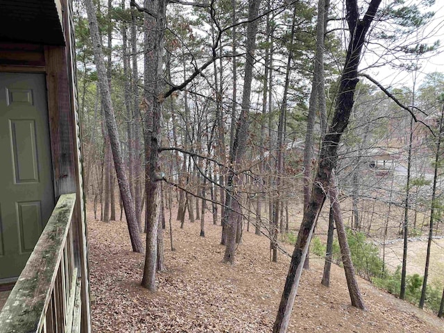 view of local wilderness