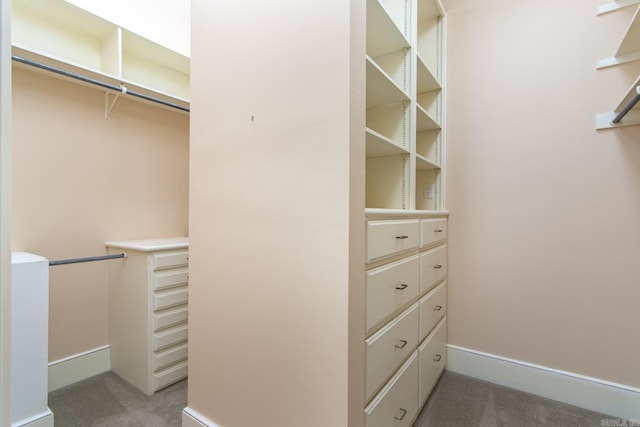 spacious closet with carpet