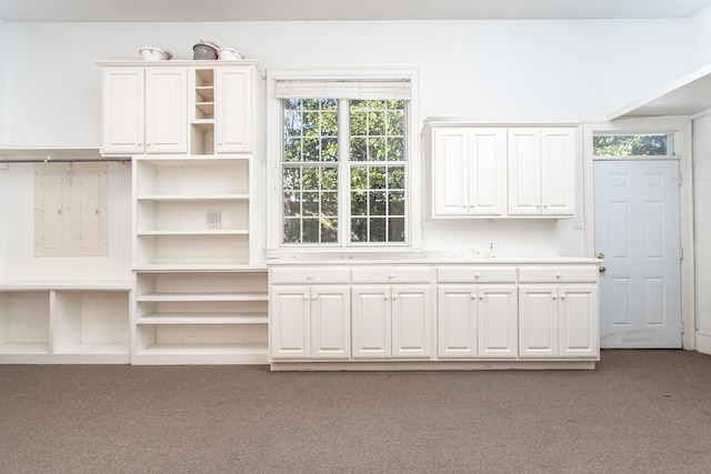 interior space featuring carpet floors