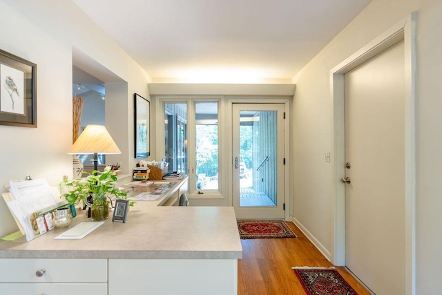 entryway featuring hardwood / wood-style flooring