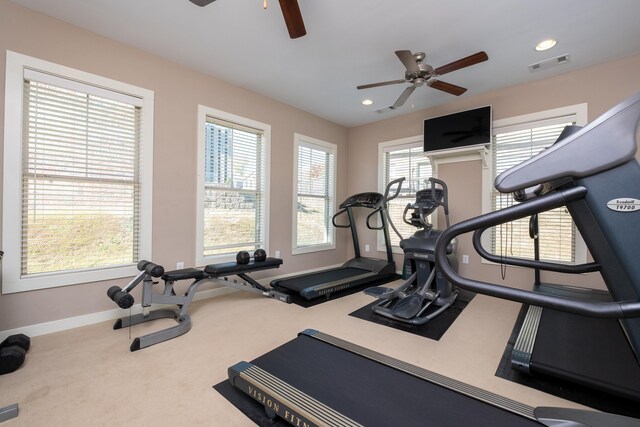 exercise room featuring carpet, ceiling fan, and plenty of natural light