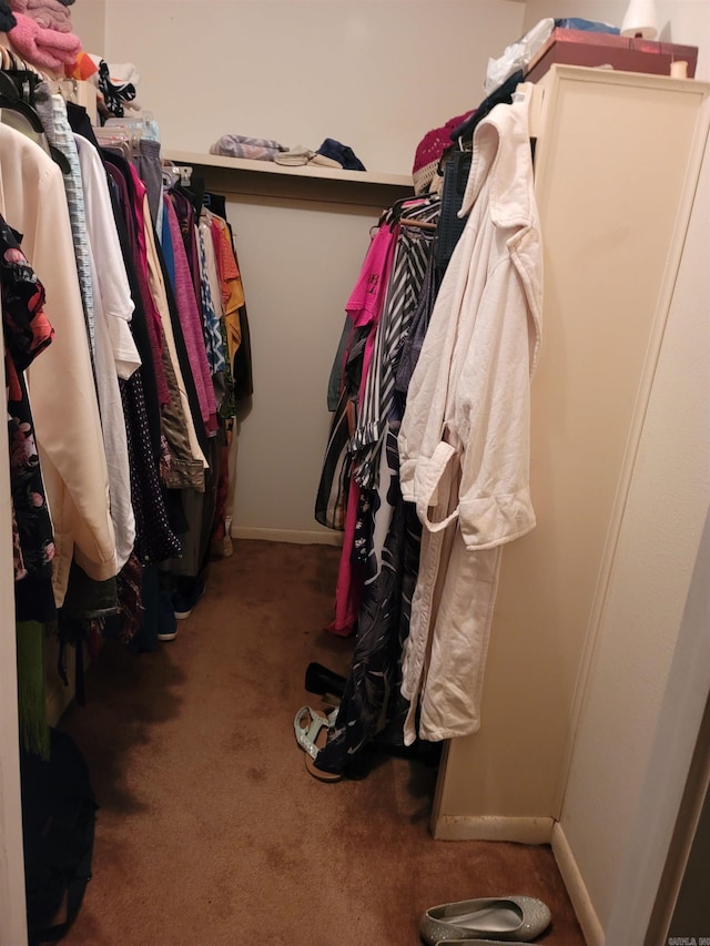 walk in closet featuring carpet