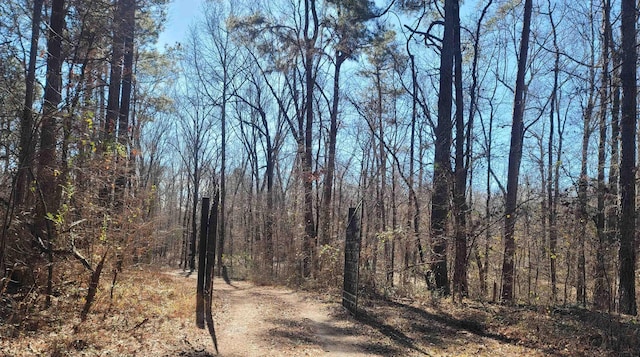 view of landscape