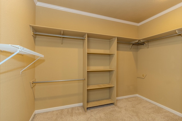 spacious closet featuring carpet