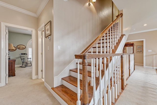 stairway with ornamental molding and carpet flooring