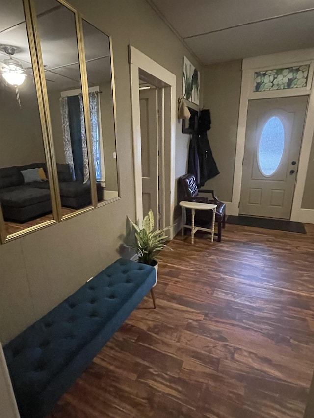 foyer entrance featuring dark hardwood / wood-style flooring