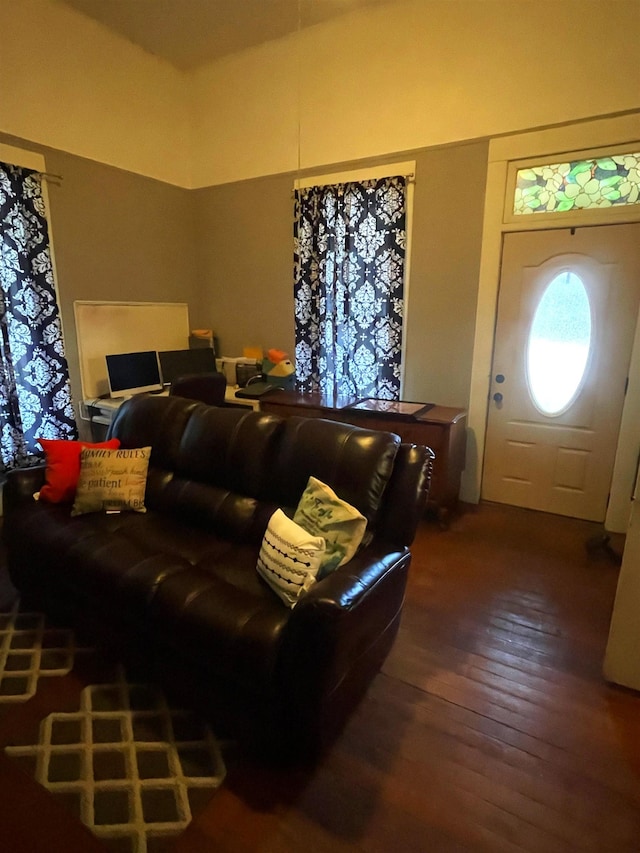 living room featuring wood-type flooring