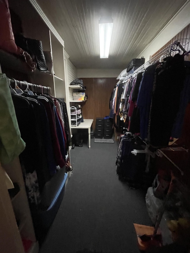 spacious closet with carpet floors