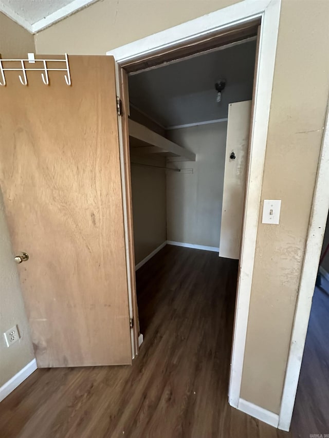 walk in closet with dark hardwood / wood-style floors