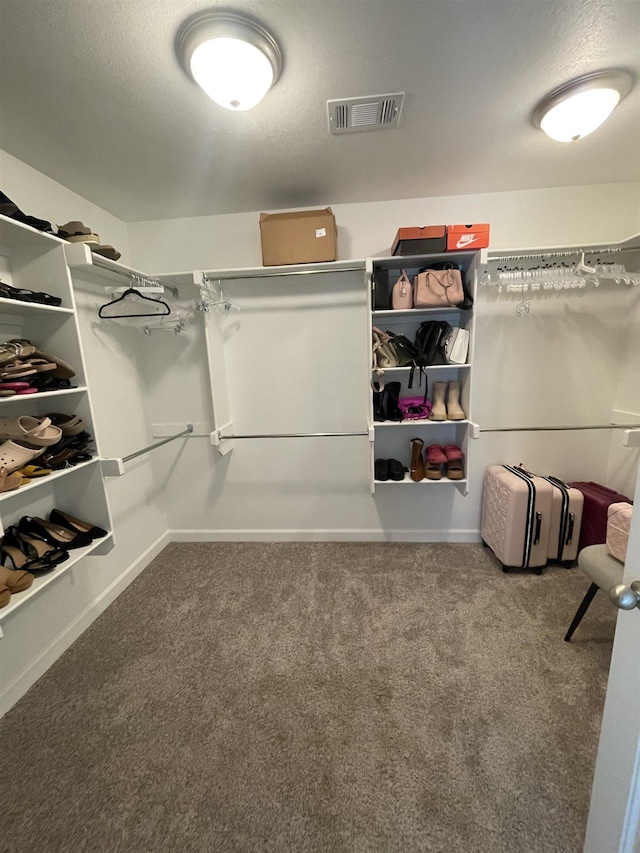 walk in closet featuring carpet