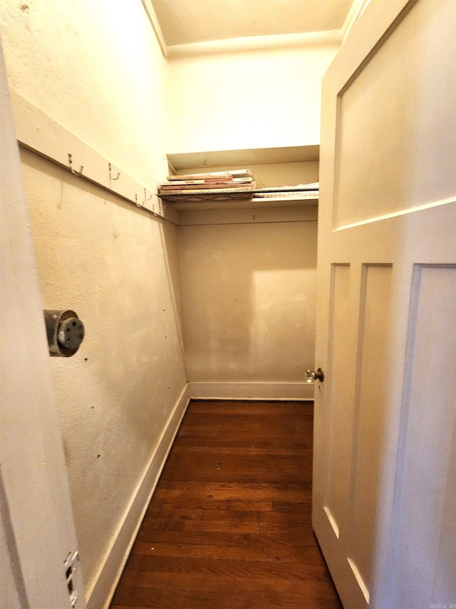 walk in closet with dark hardwood / wood-style floors