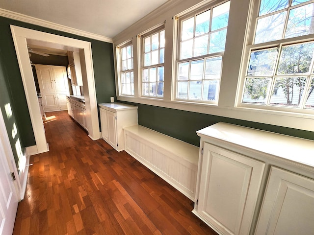 corridor with dark hardwood / wood-style flooring, crown molding, and a healthy amount of sunlight