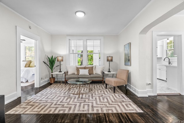 living area with wood-type flooring, sink, and crown molding