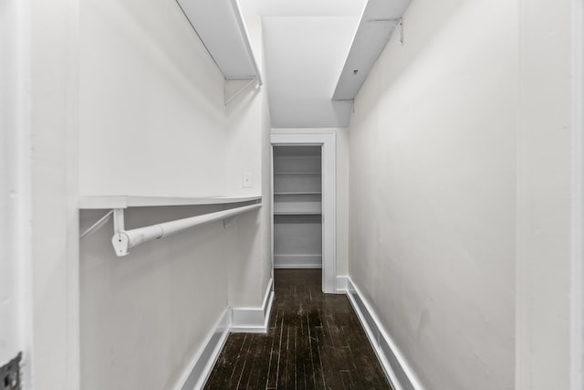 walk in closet featuring dark hardwood / wood-style flooring