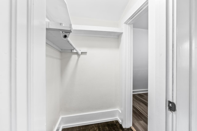 spacious closet featuring dark wood-type flooring