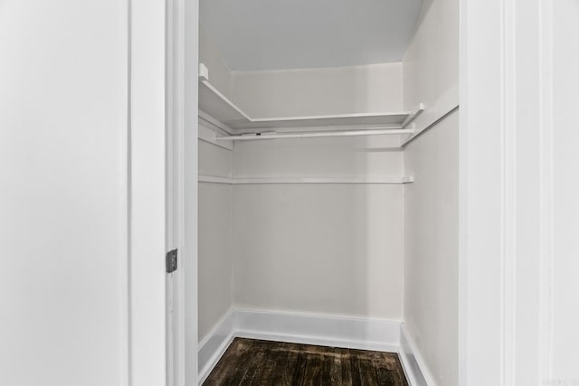 walk in closet with hardwood / wood-style flooring