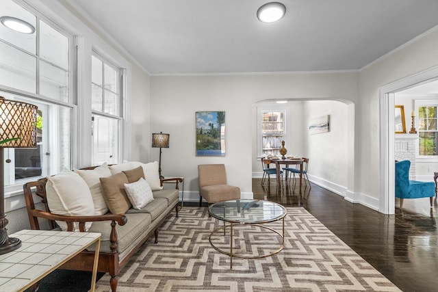 living room featuring a wealth of natural light, dark hardwood / wood-style flooring, and ornamental molding