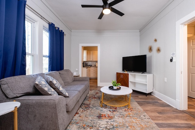 living room with ceiling fan, crown molding, and hardwood / wood-style floors