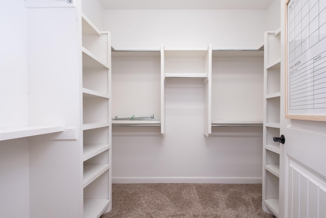 spacious closet with carpet floors