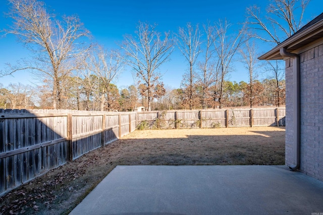 view of yard with a patio area