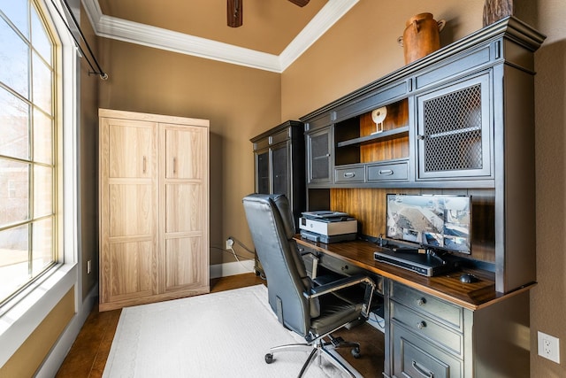 office space featuring ceiling fan, dark hardwood / wood-style flooring, and ornamental molding