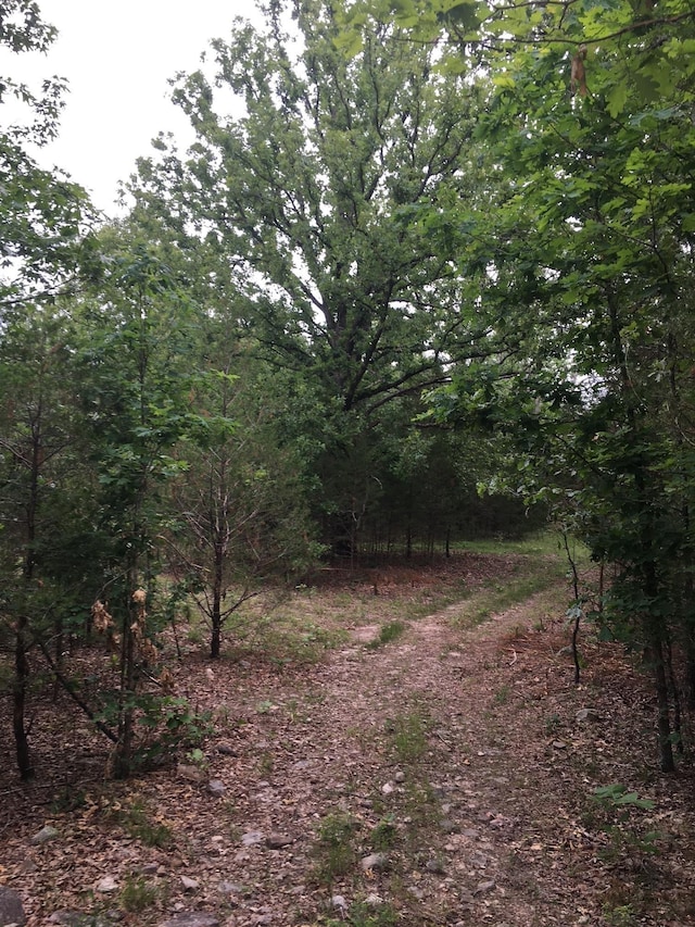 TractA Deer Haven Trail, Salem AR, 72576 land for sale