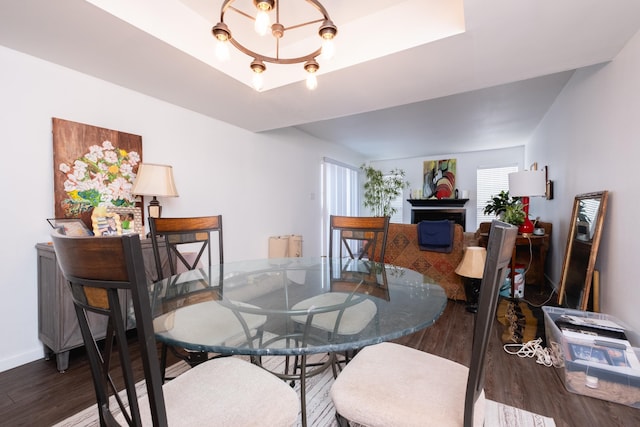 dining room featuring dark wood-type flooring