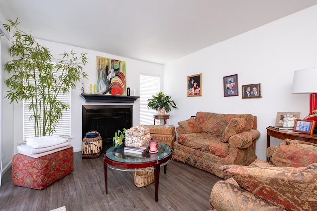 living room featuring dark hardwood / wood-style flooring