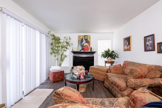 living room with dark hardwood / wood-style floors