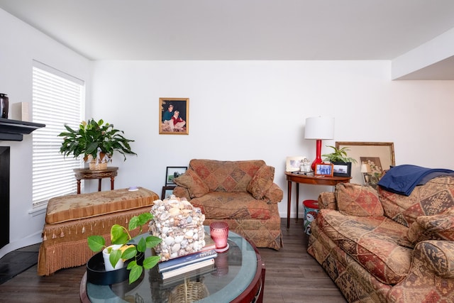 living room with hardwood / wood-style flooring and a wealth of natural light