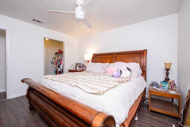 bedroom featuring dark hardwood / wood-style floors, a closet, ceiling fan, and a walk in closet