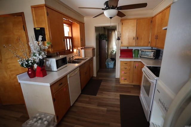 kitchen featuring sink, ceiling fan, white appliances, and dark hardwood / wood-style floors