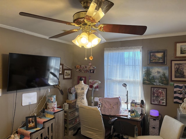 office area featuring ceiling fan, a healthy amount of sunlight, and ornamental molding