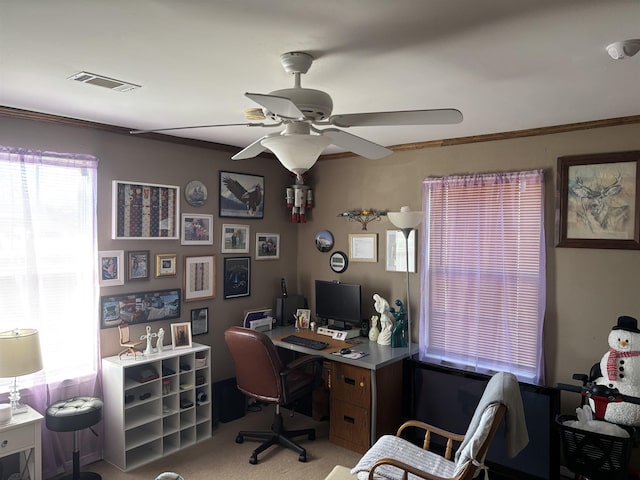 carpeted office featuring ceiling fan and crown molding