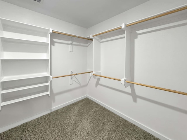 spacious closet featuring carpet floors