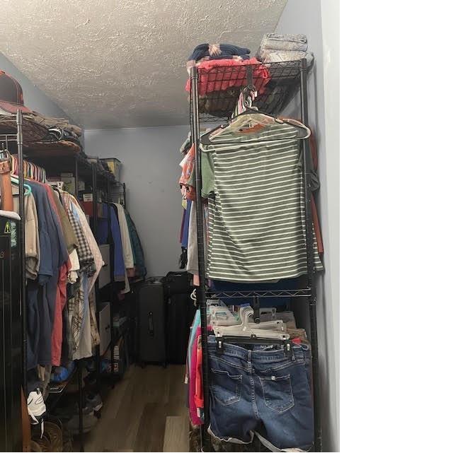 spacious closet featuring hardwood / wood-style floors