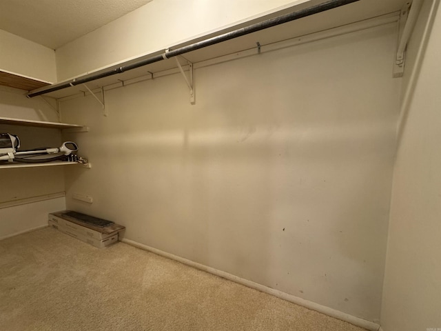 walk in closet with light carpet